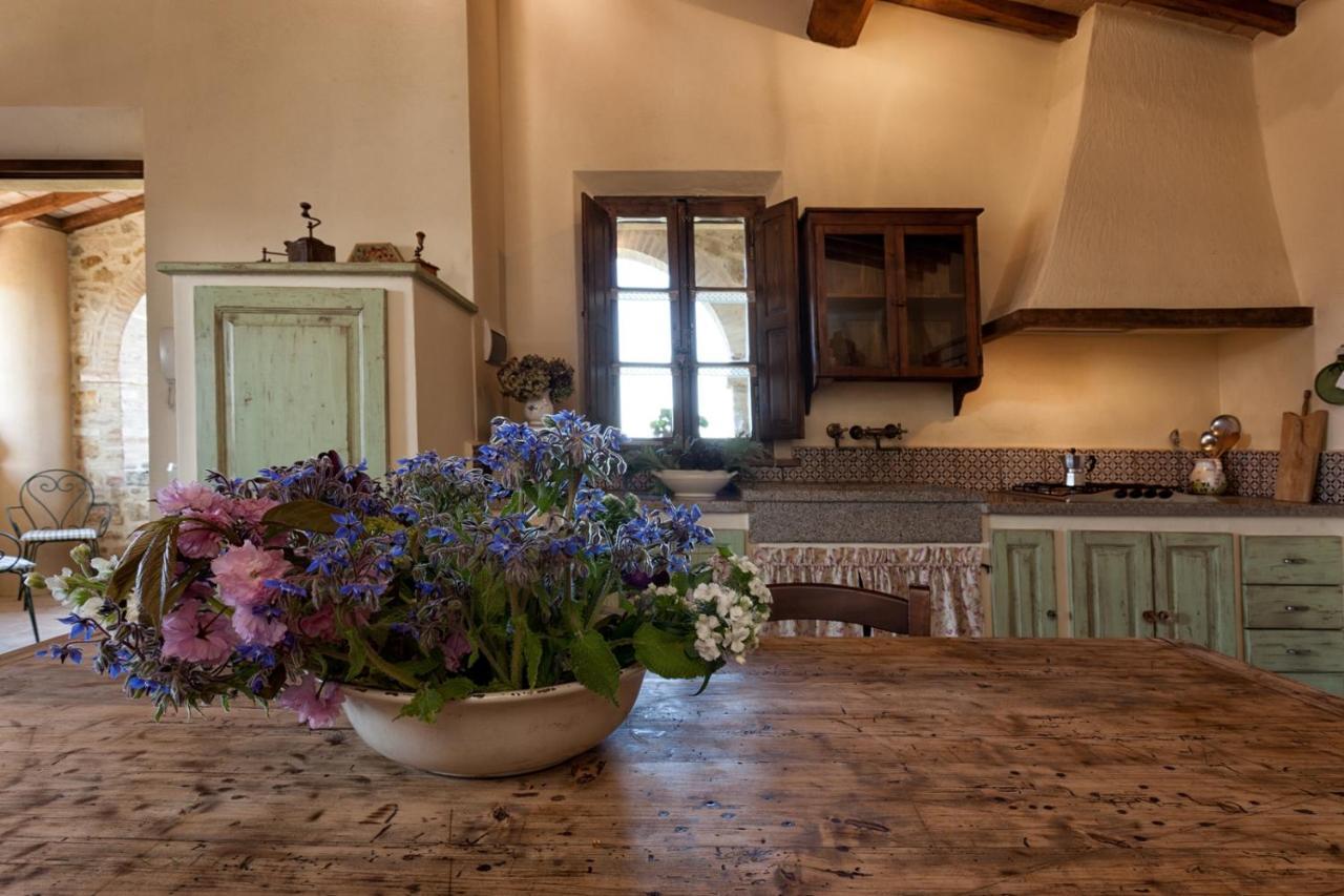 Agriturismo MONSOLE - Montalcino Esterno foto