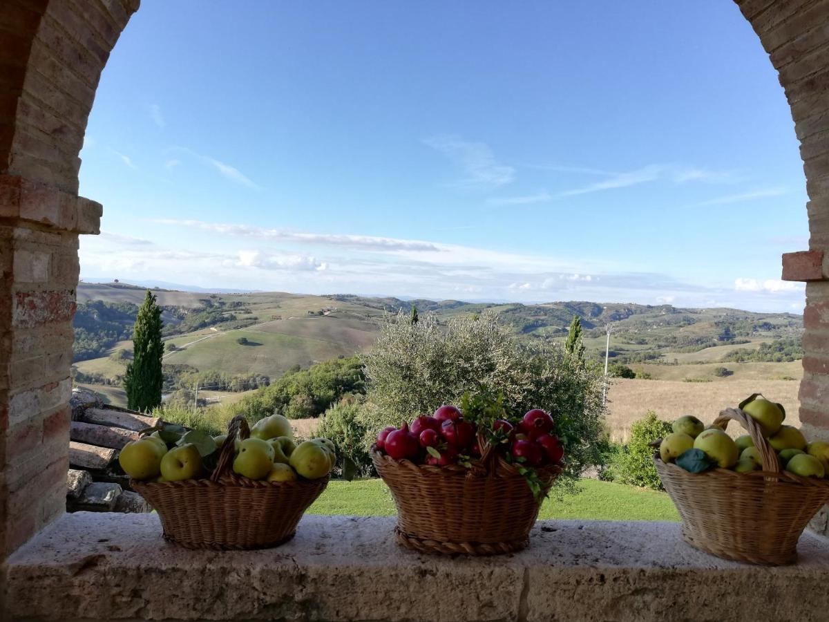 Agriturismo MONSOLE - Montalcino Esterno foto