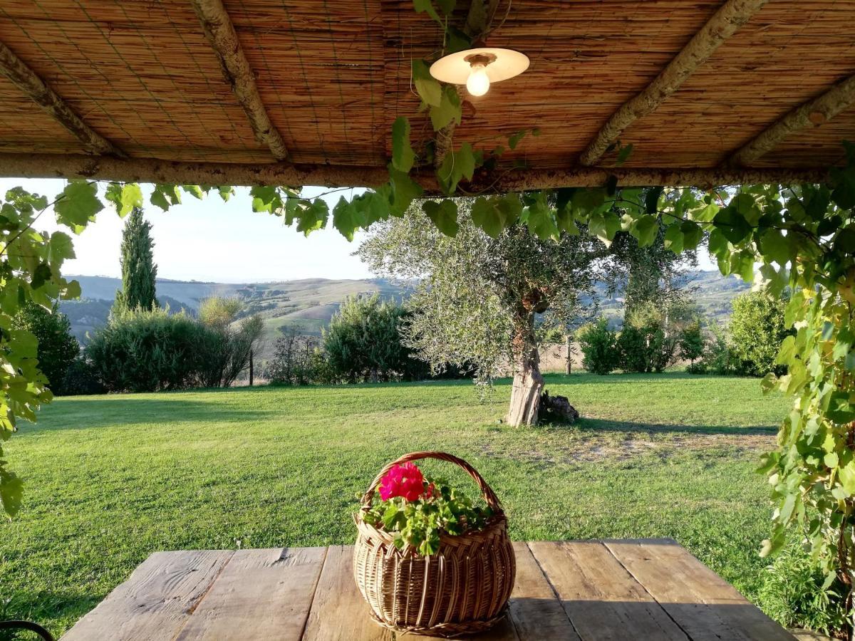 Agriturismo MONSOLE - Montalcino Esterno foto