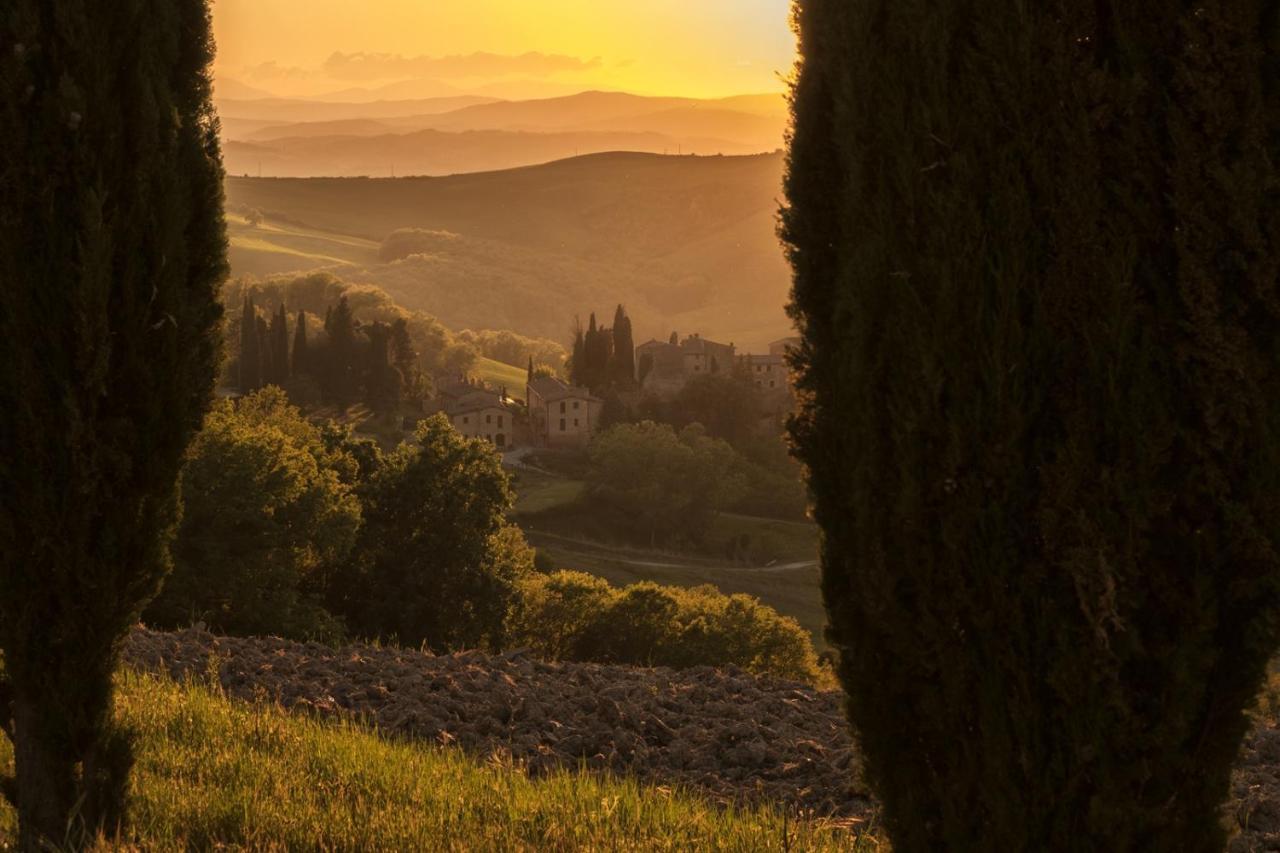 Agriturismo MONSOLE - Montalcino Esterno foto