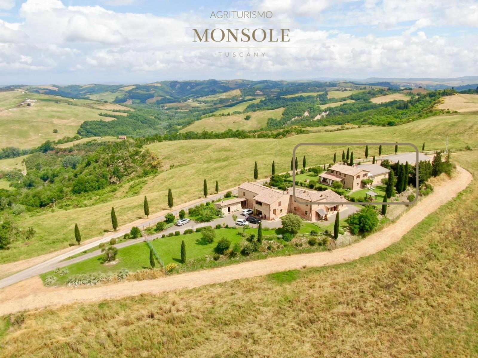 Agriturismo MONSOLE - Montalcino Esterno foto
