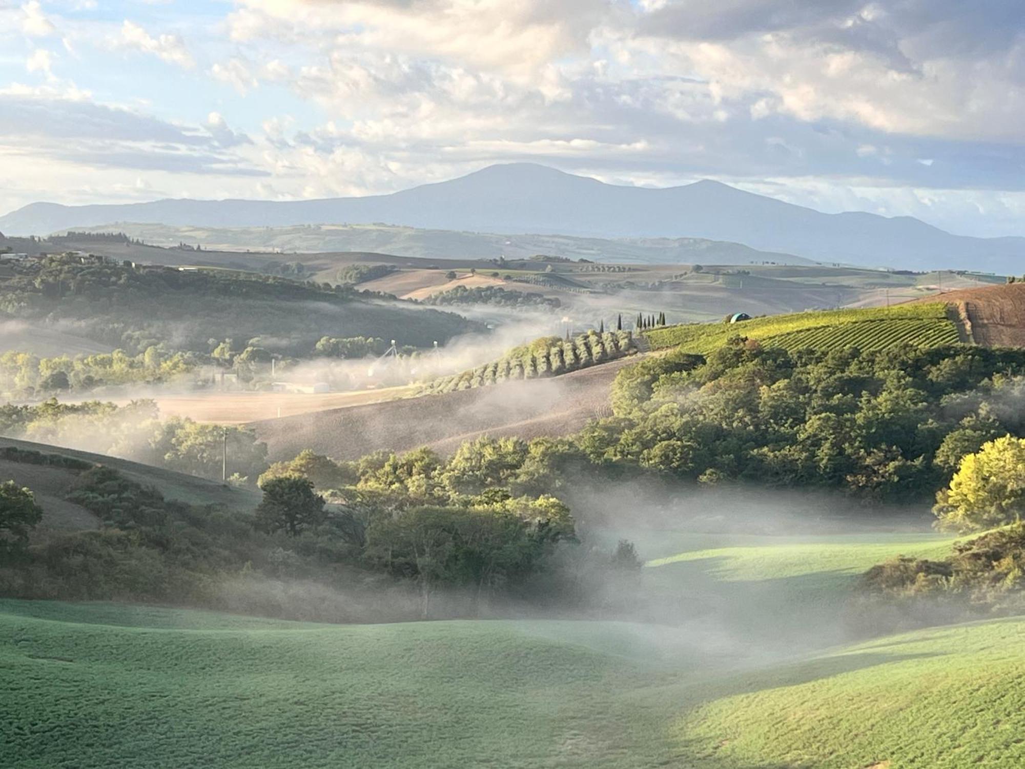 Agriturismo MONSOLE - Montalcino Esterno foto